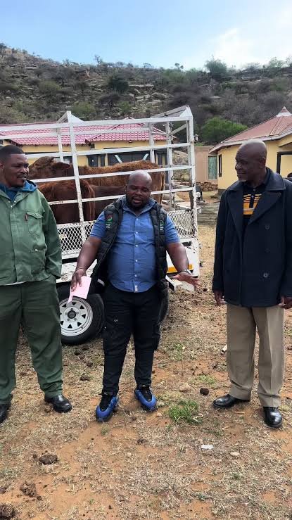 Idlelo Livestock customer